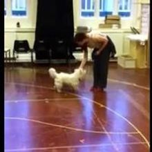 THE WIZARD OF OZ Blog: Danielle Rehearses with Toto